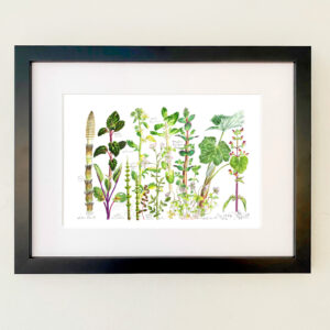Water Plants Print