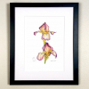 Speckled Pink Iris Print