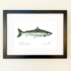 Sea Trout Print