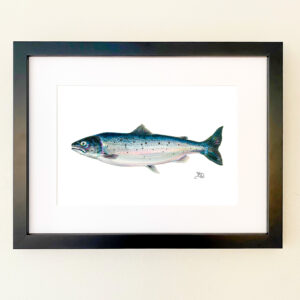 Salmon Print