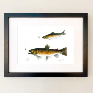Brown Trout Print  - ON SALE