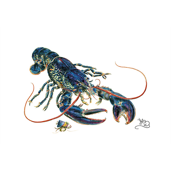 Blue Lobster