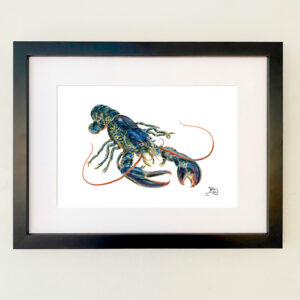 Lobster Print
