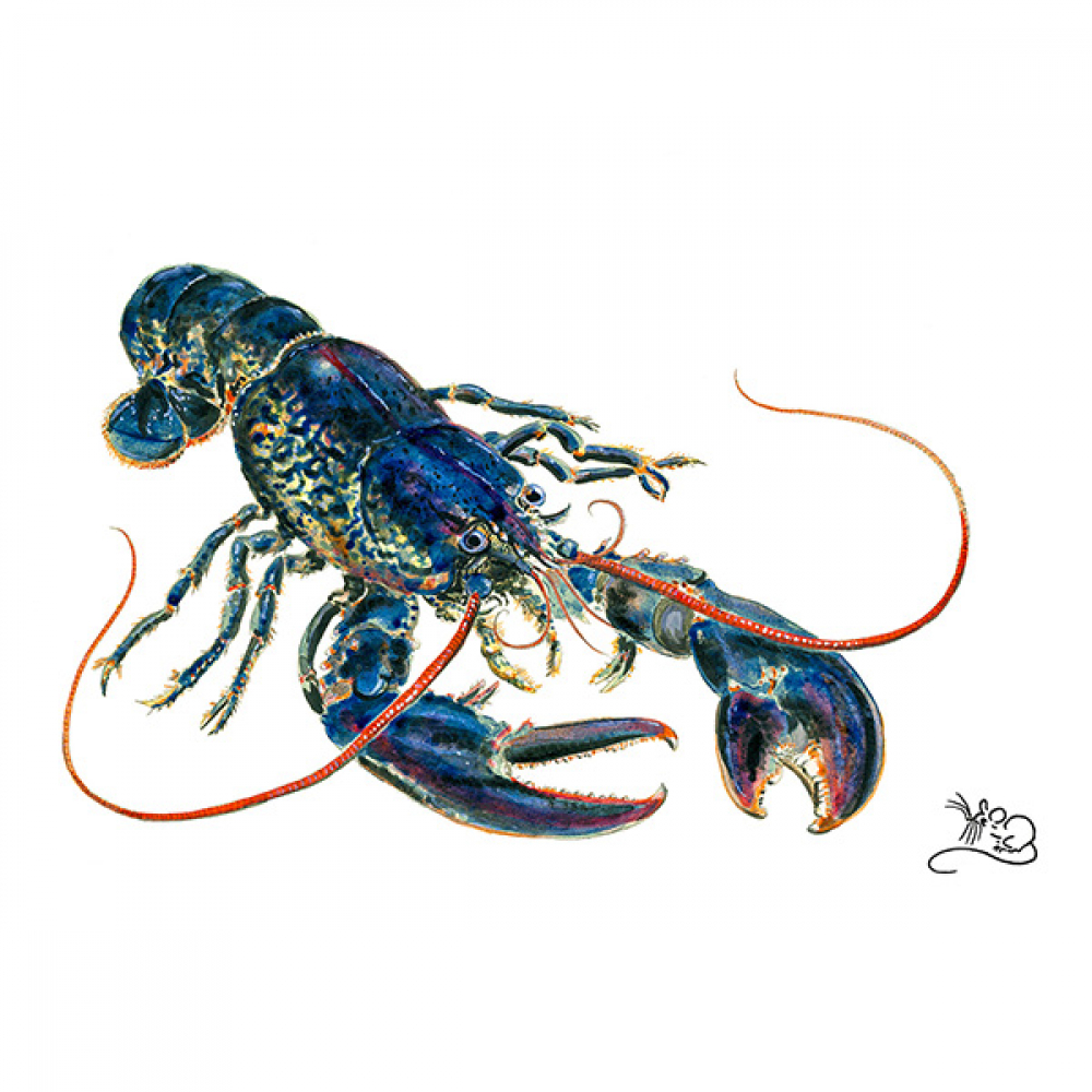 Lobster Print Wildlife By Mouse