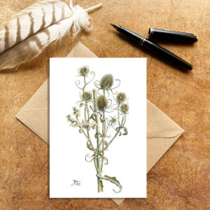 Winter Teasel Card