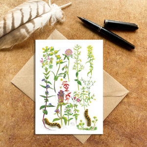May wild flowers Card