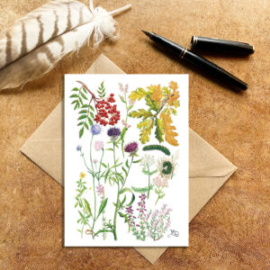 September hedgerow Card