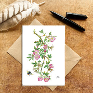 Wild Rose & Red-tailed bumblebee Card