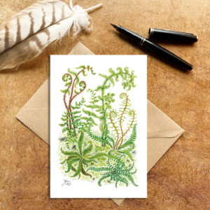 Ferns Card