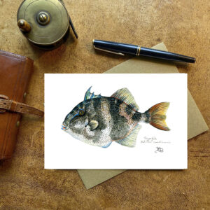 Triggerfish Card