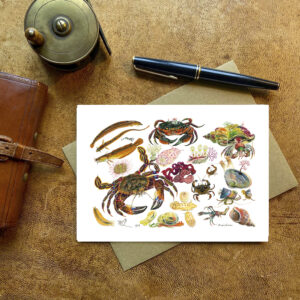 Velvet Crab & other Rock Pool Creatures Card