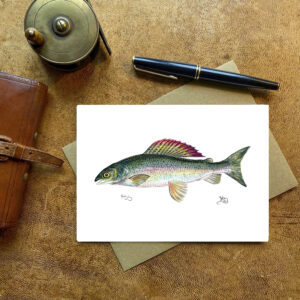 Grayling Card