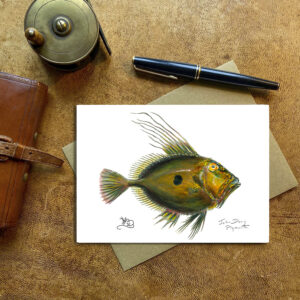 John Dory Card