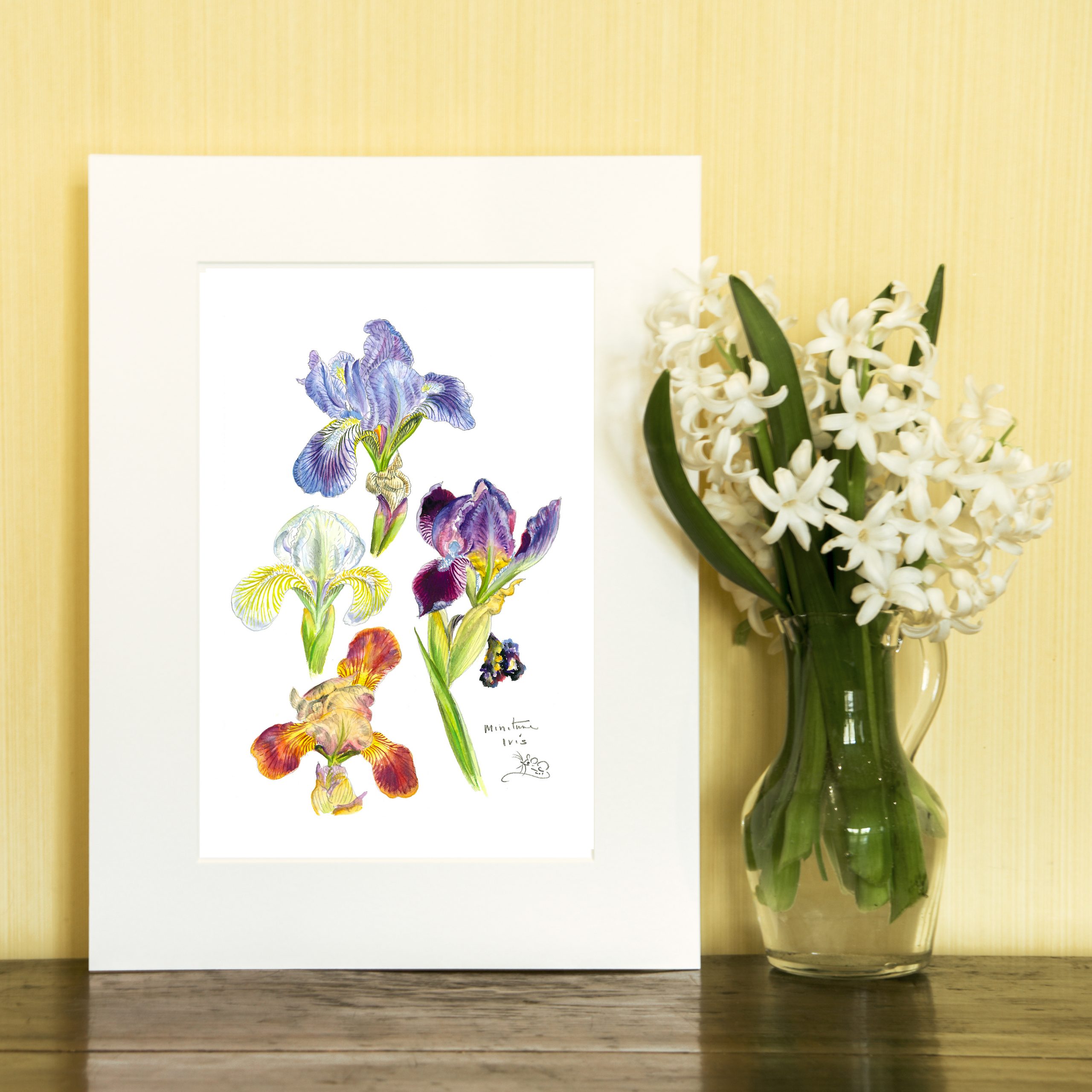 Four colourful Miniature Iris Print