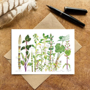 Water Plants Card