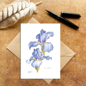 Tall Bearded Iris Jane Philips Card