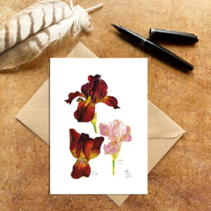 Irises Mary Todd & Esther Fay Card