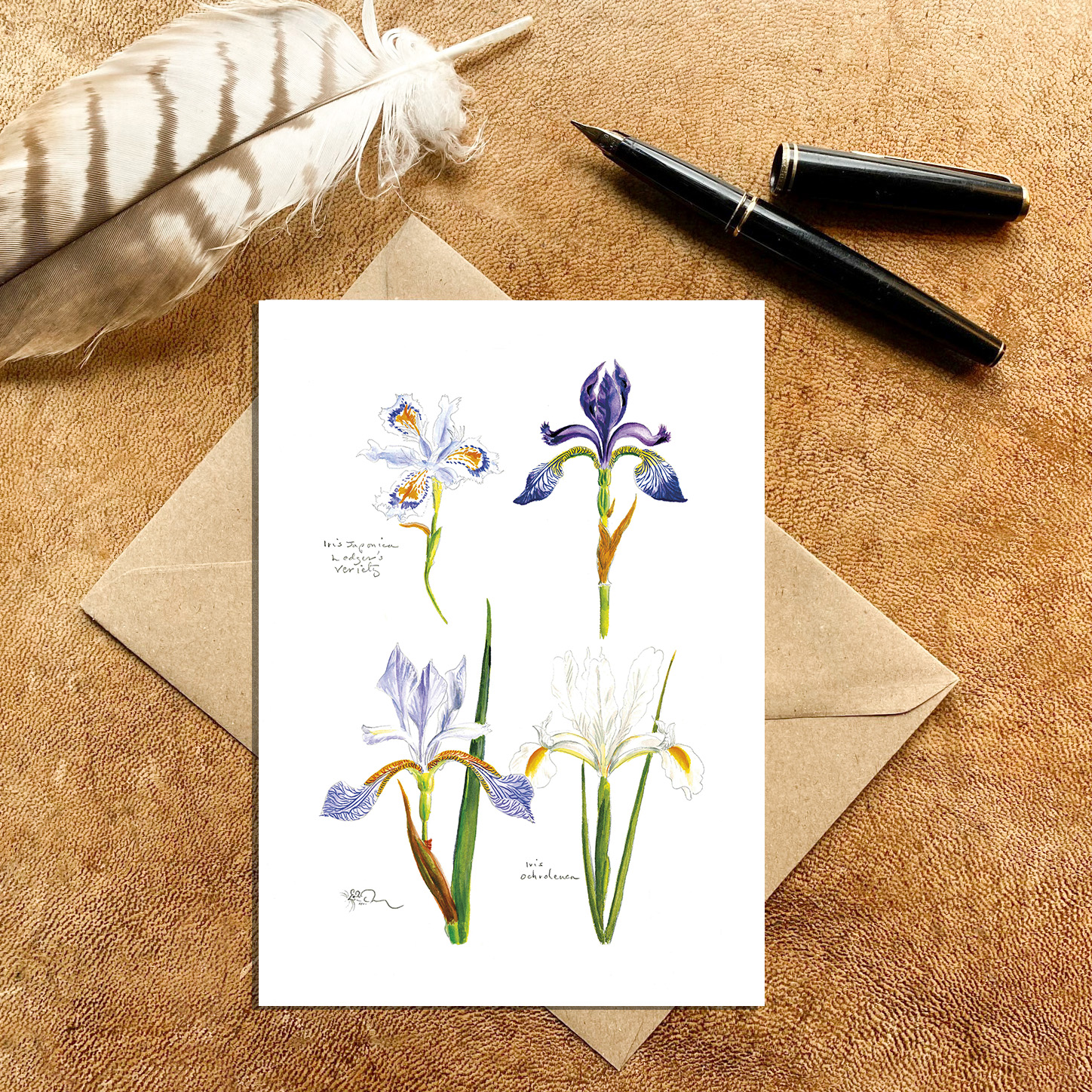 Four Miniature Iris Card