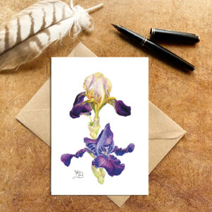 urple & Mauve bearded Iris Card
