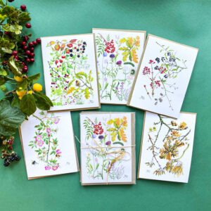 Pack of 5 Hedgerow Cards