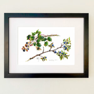 Blackberry & Sloe Print