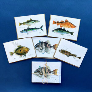 Pack of 5 Sea Fish Cards