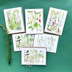 Pack of 5 Wildflower Cards