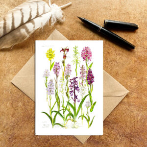 Wild Orchids Card