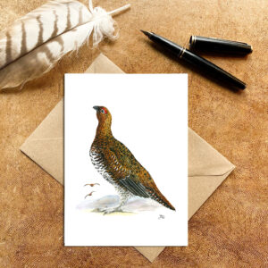 Male Red Grouse Card