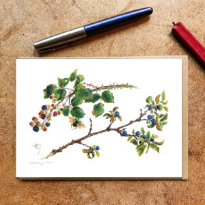 Blackberry & Sloe Berries Card