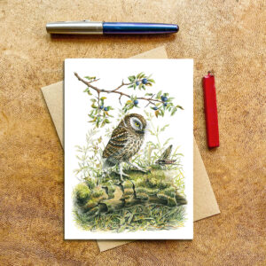 Little Owl and Moth Card
