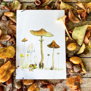 fungi greetings card