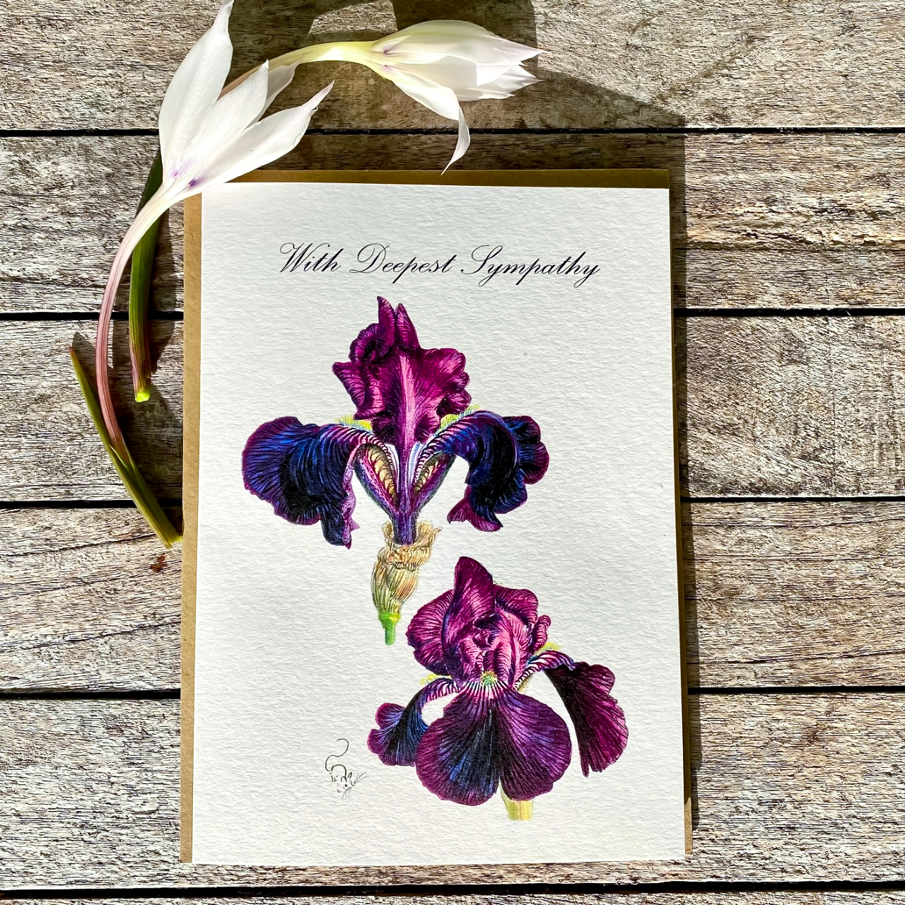 Deepest sympathy purple iris greeting card