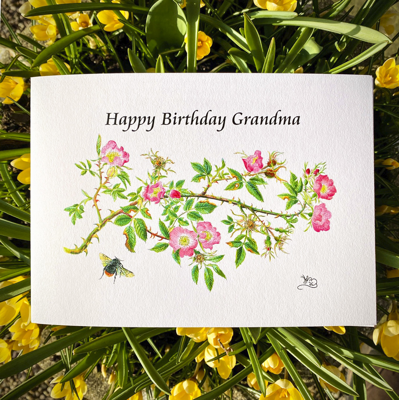 Happy Birthday grandma, greetings card, card, garndmum, grandmother, Nan, Granny, wild rose, dog rose, red tailed bumble bee, Mouse, Mouse Macpherson, wildlifebymouse,