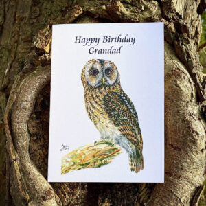 Happy Birthday Granadad greetings card,