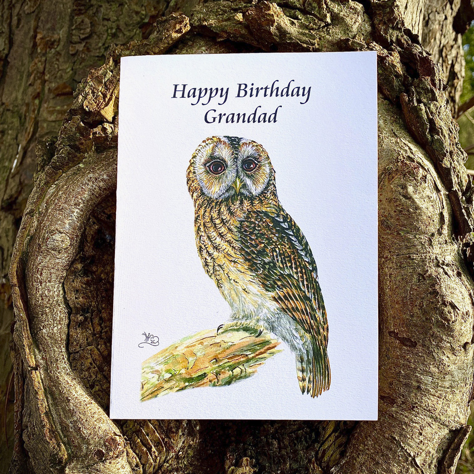 Happy Birthday Granadad greetings card, card, happy birthday, Grandad, Grandfather, Grandpa, Tawny owl, owl, wise, old bird, british, Mouse, Mouse Macpherson, wilidebybymouse,