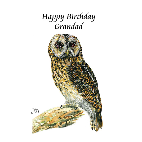Happy Birthday Granadad greetings card, card, happy birthday, Grandad, Grandfather, Grandpa, Tawny owl, owl, wise, old bird, british, Mouse, Mouse Macpherson, wilidebybymouse,