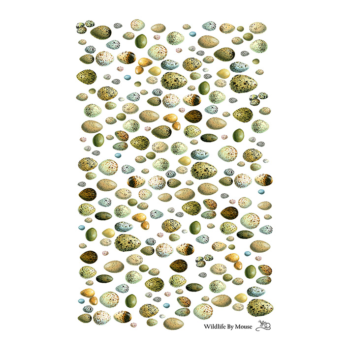 Eggs tea towel