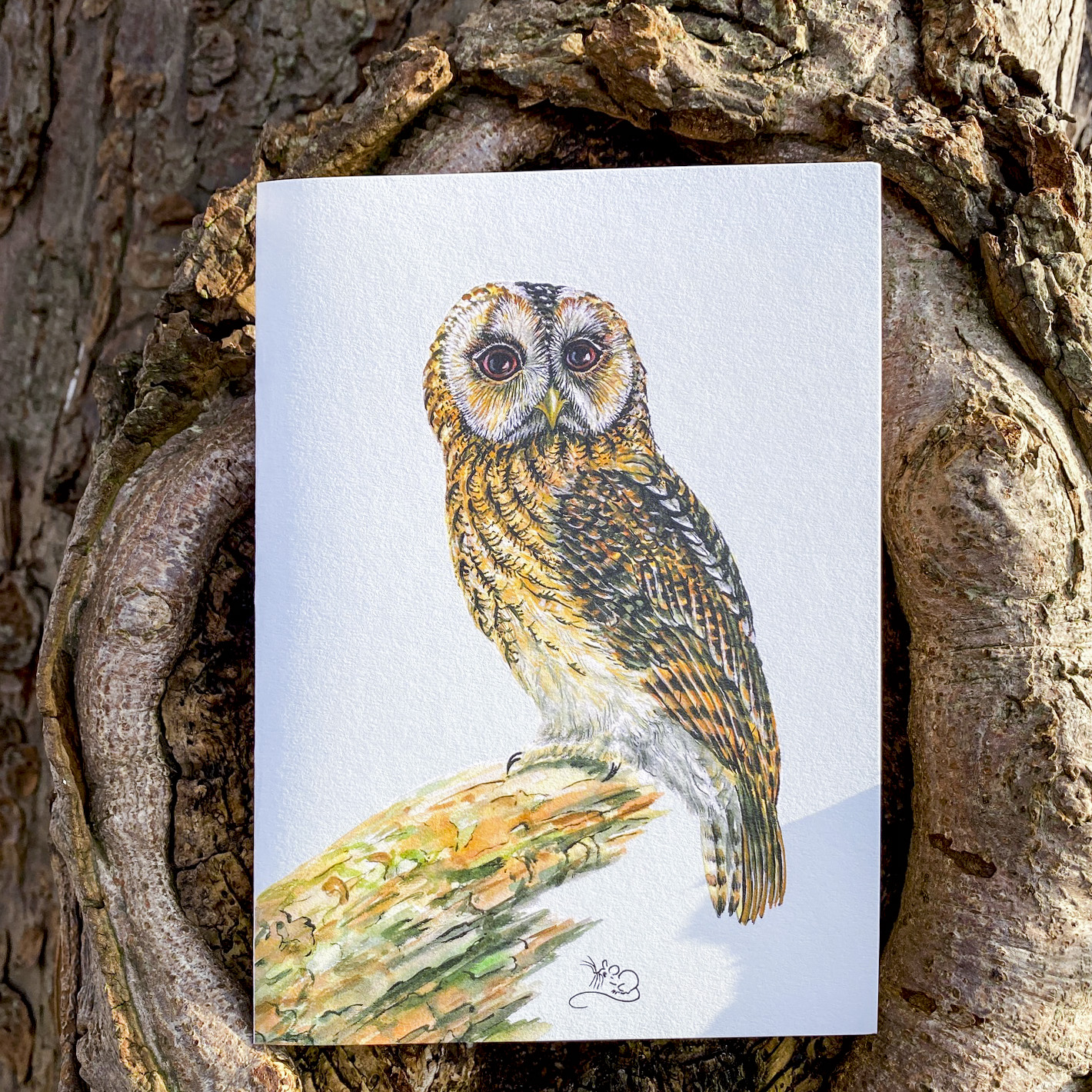 Tawny Owl greetings card, card, greeting, owl, bird, british bird, wilidlfebymouse, Mouse Macpherson
