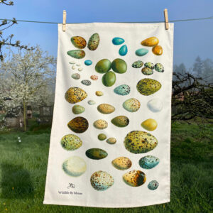 Egg stea towel,