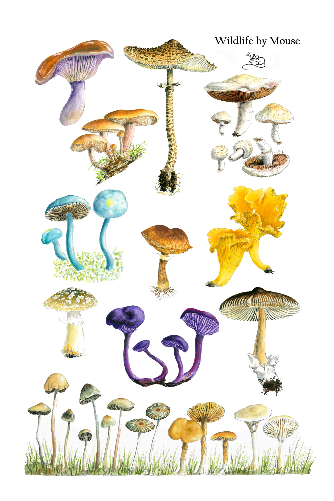 Fungi tea towel