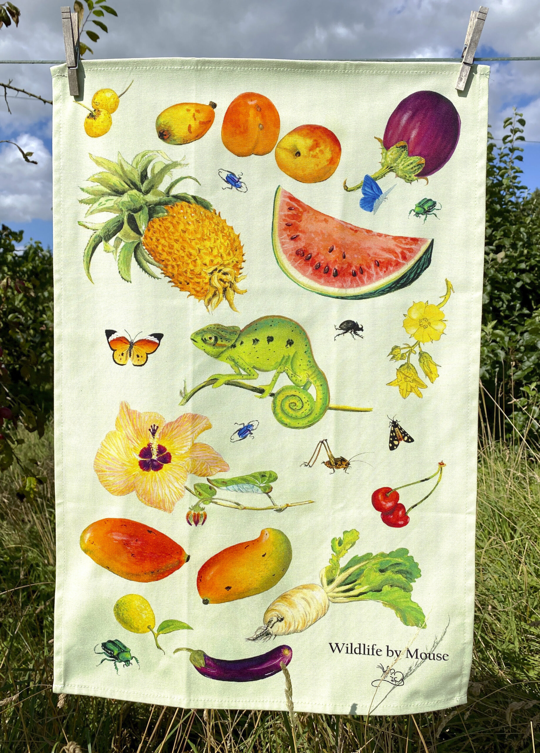 Tropical fruit, flowers, vegetables beetles and a chameleon