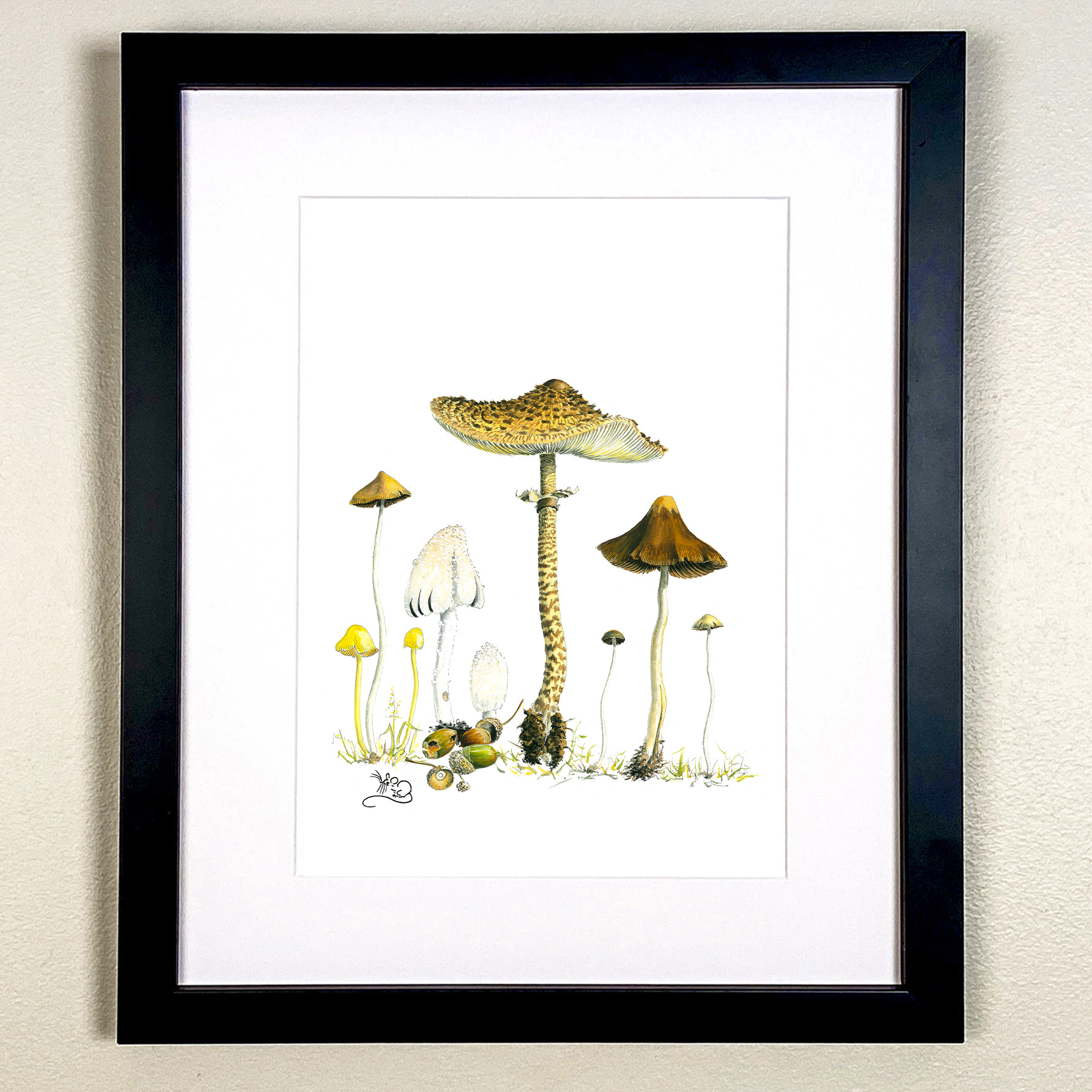 Fungi - Yellow Field cap, Coprinellus impatiens, Flocculose Inkcap & type of Parasol. Autumn in the UK.