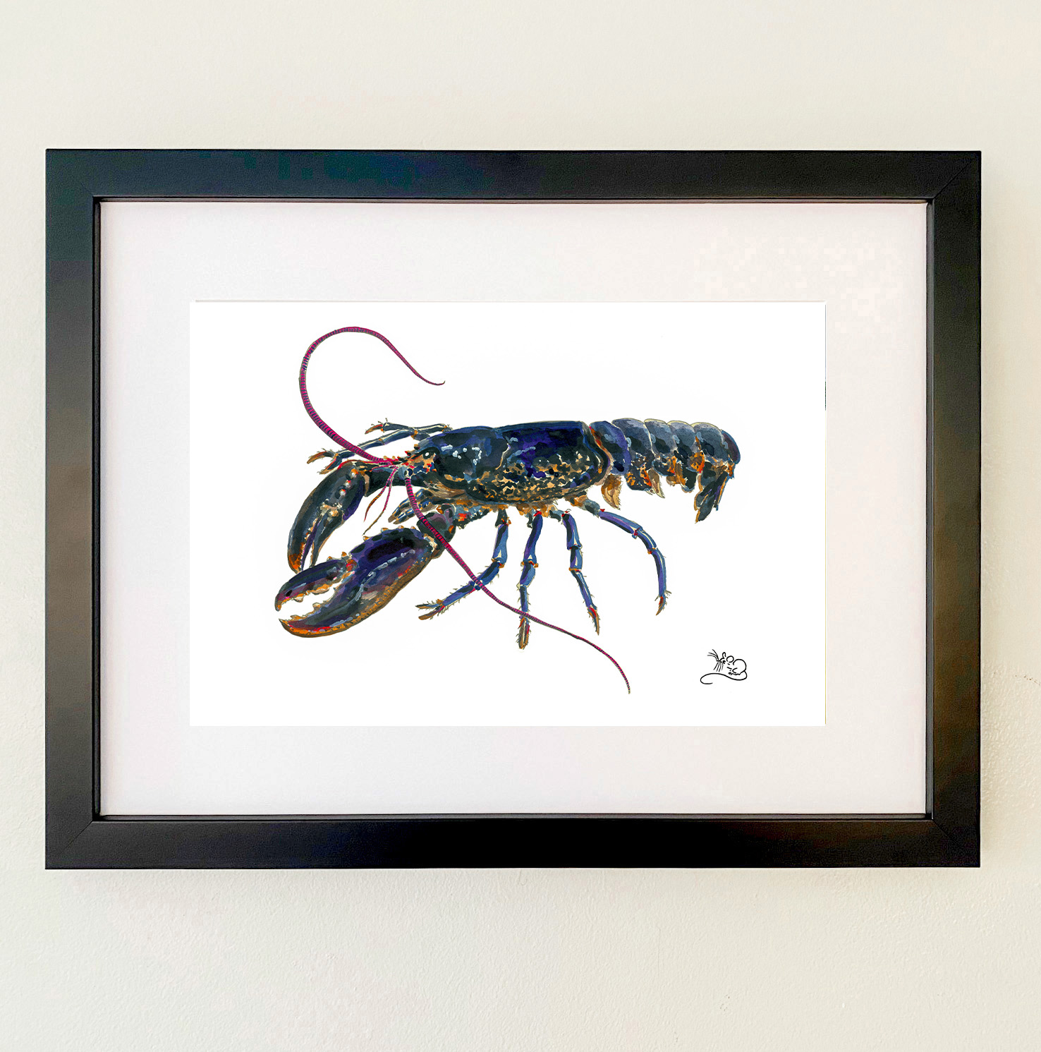 Blue lobster from Scotland