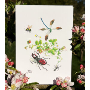 Wild strawberry and insects stag beetle dragon fly grasshopper & bee card card