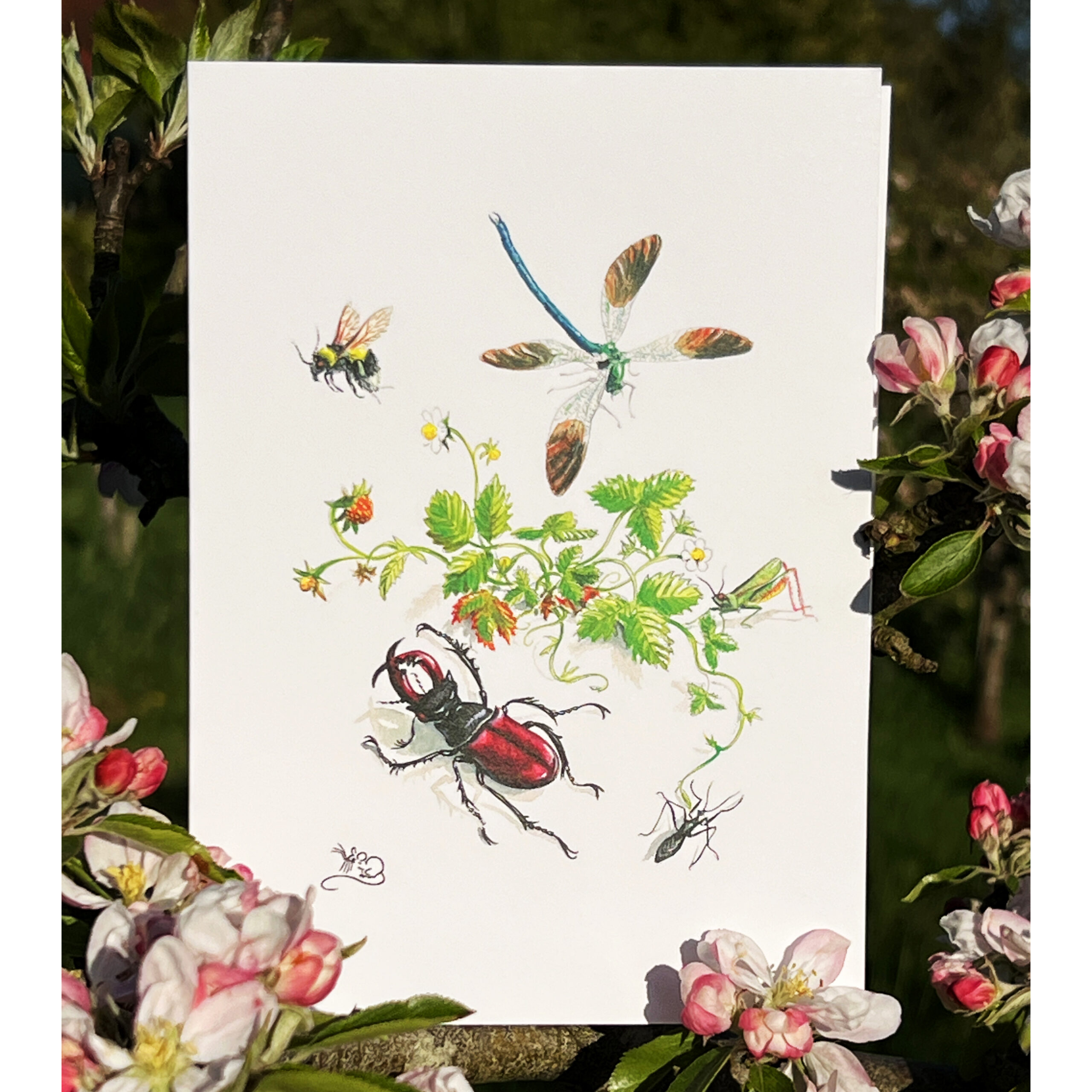 Wild strawberry and insects stag beetle dragon fly grasshopper & bee card card
