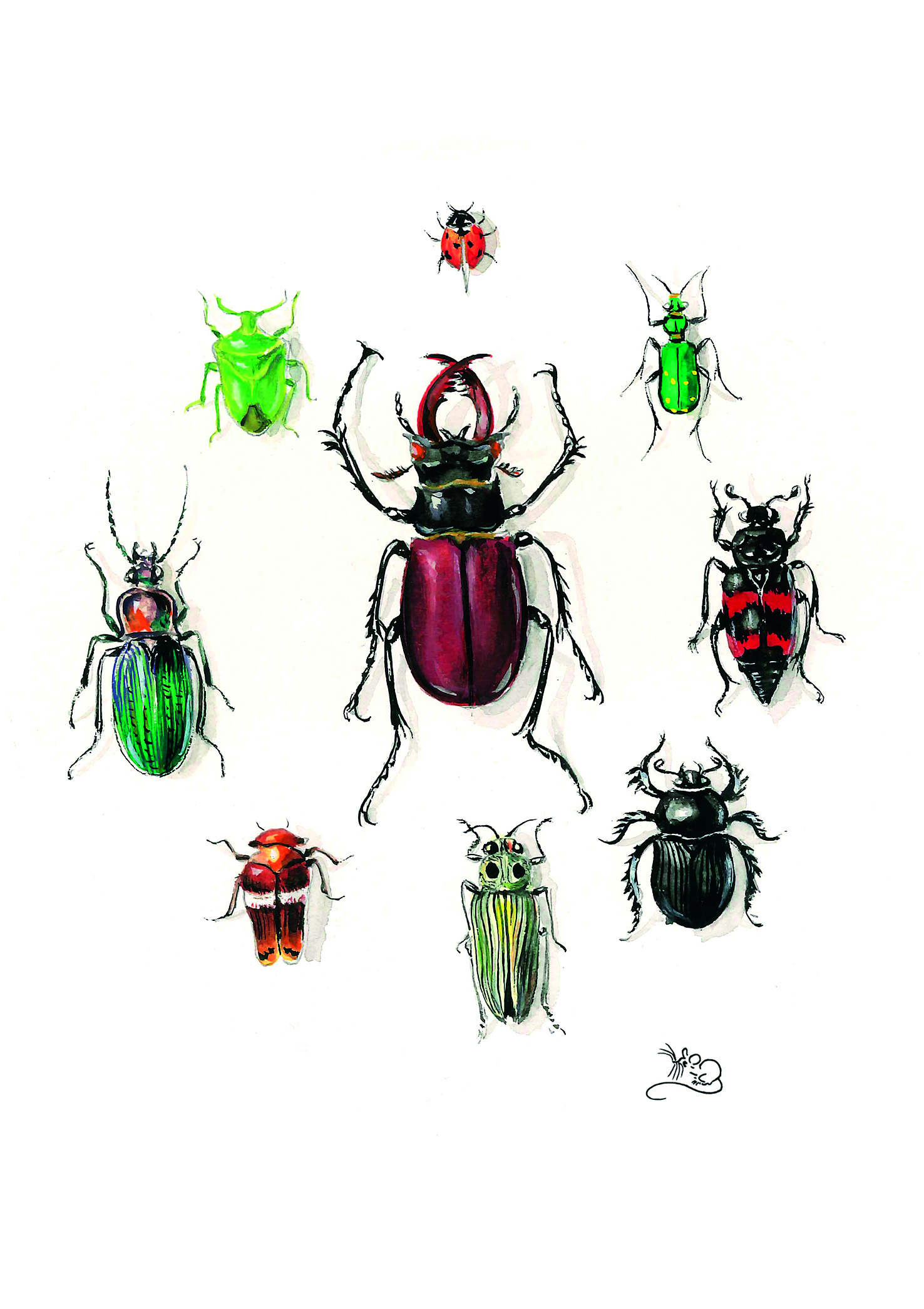 Stag beetle and other beetles in a circle card