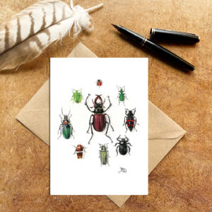 Stag and other British beetles