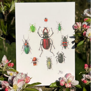 Stag beetle and other beetles in a circle card