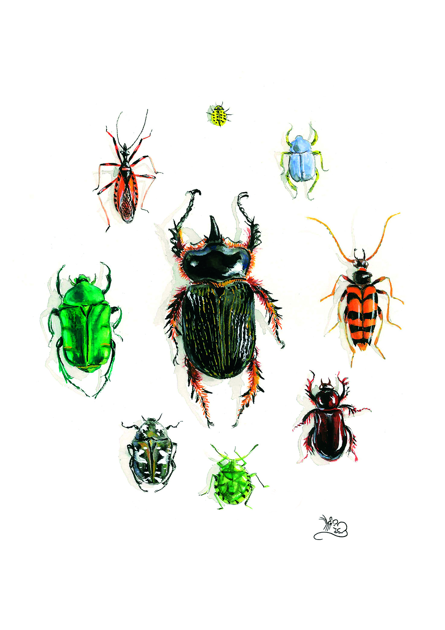 Dung beetle and other beetles in a circle card